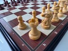 Brains 24cm Magnetic Folding Chess Set with Storage