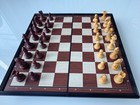 Brains 24cm Magnetic Folding Chess Set with Storage