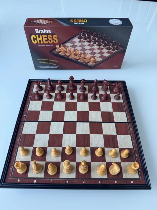 Brains 24cm Magnetic Folding Chess Set with Storage